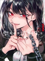 雪落无声时 民国谍战双女主百合小说封面