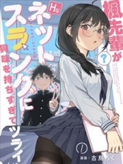 深柜失眠症 都市职场双女主小说封面
